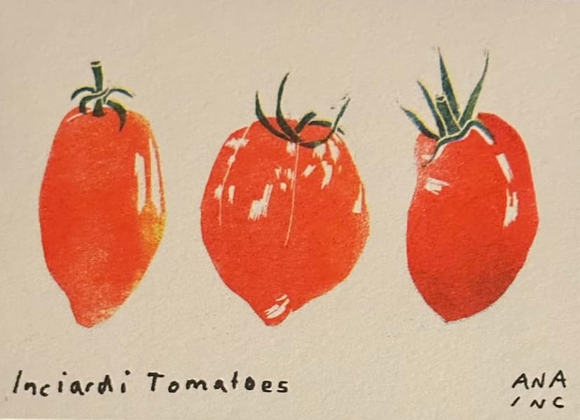 Inciardi Tomatoes