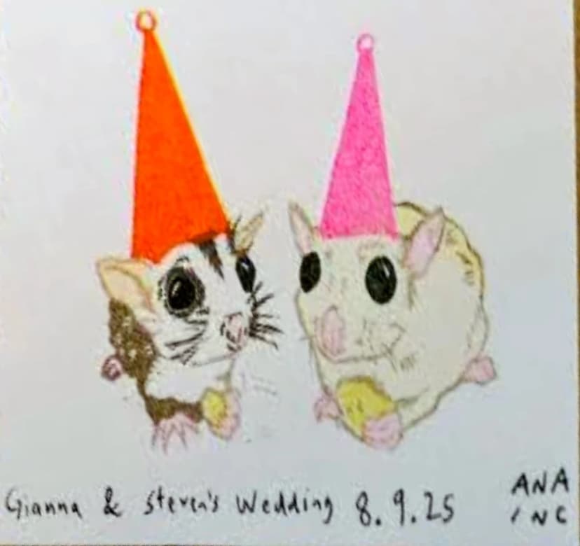 Sugar Gliders