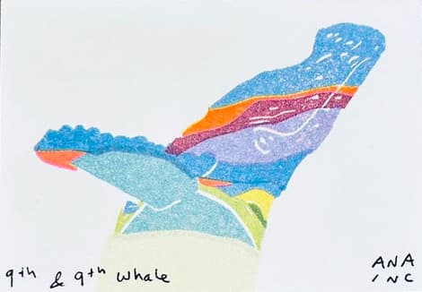9th & 9th Whale
