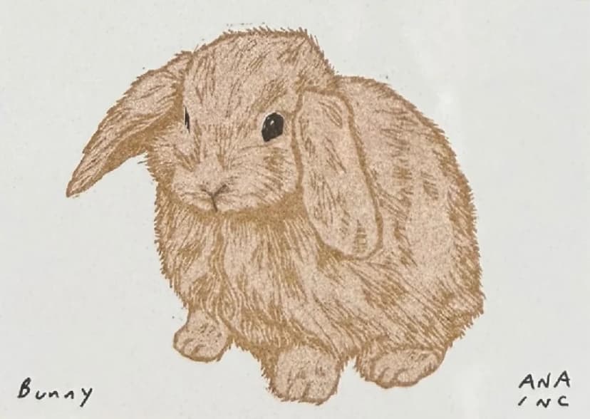 Bunny