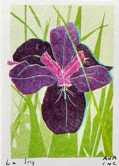 La Iris