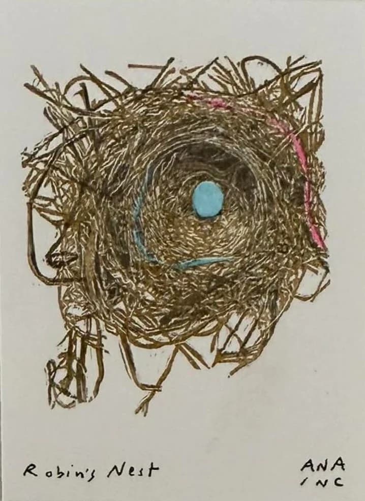 Robin's Nest