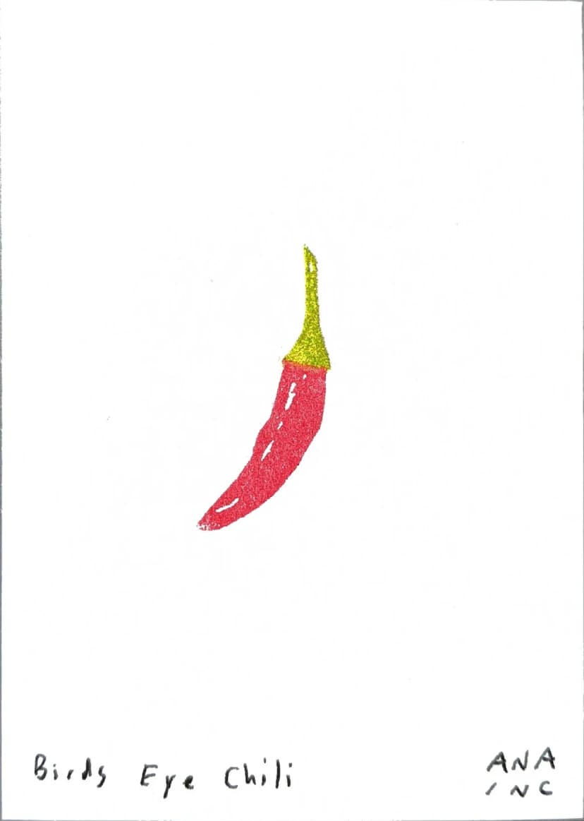 Birds Eye Chili