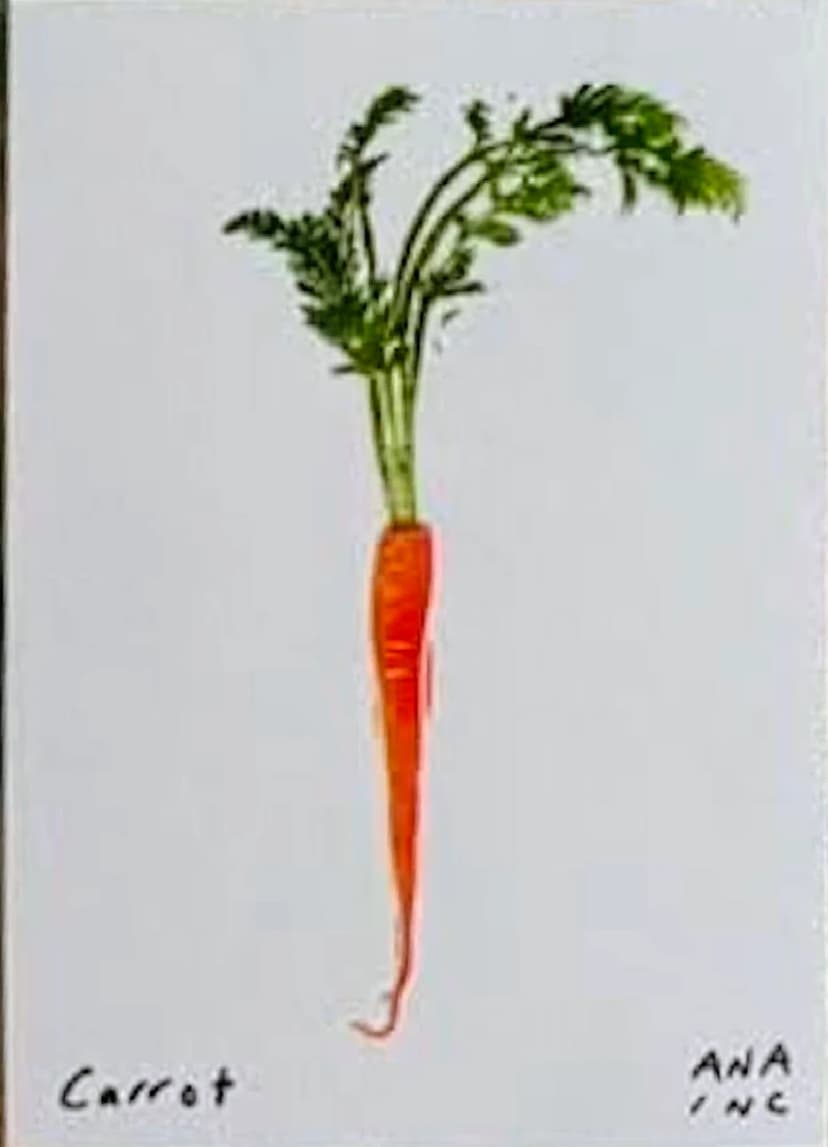 Carrot