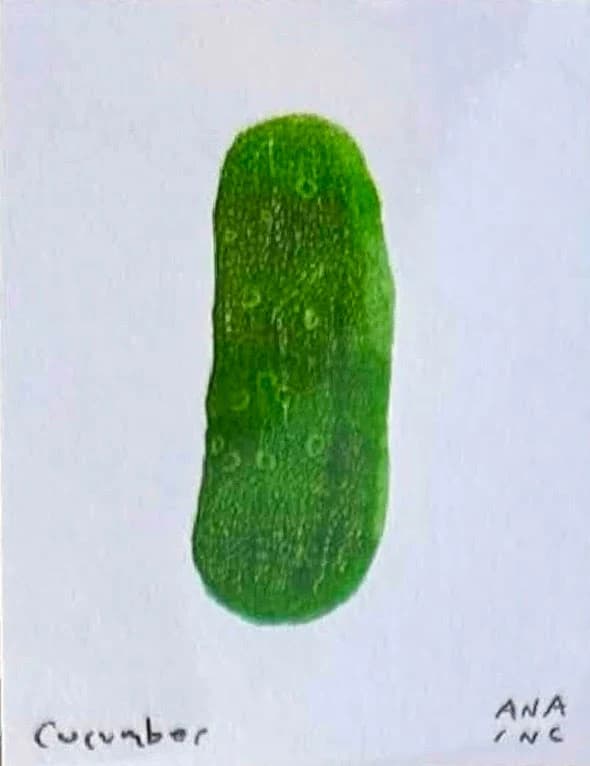 Cucumber