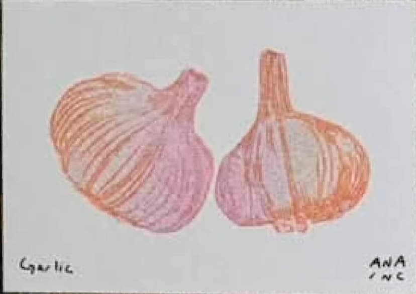 Garlic