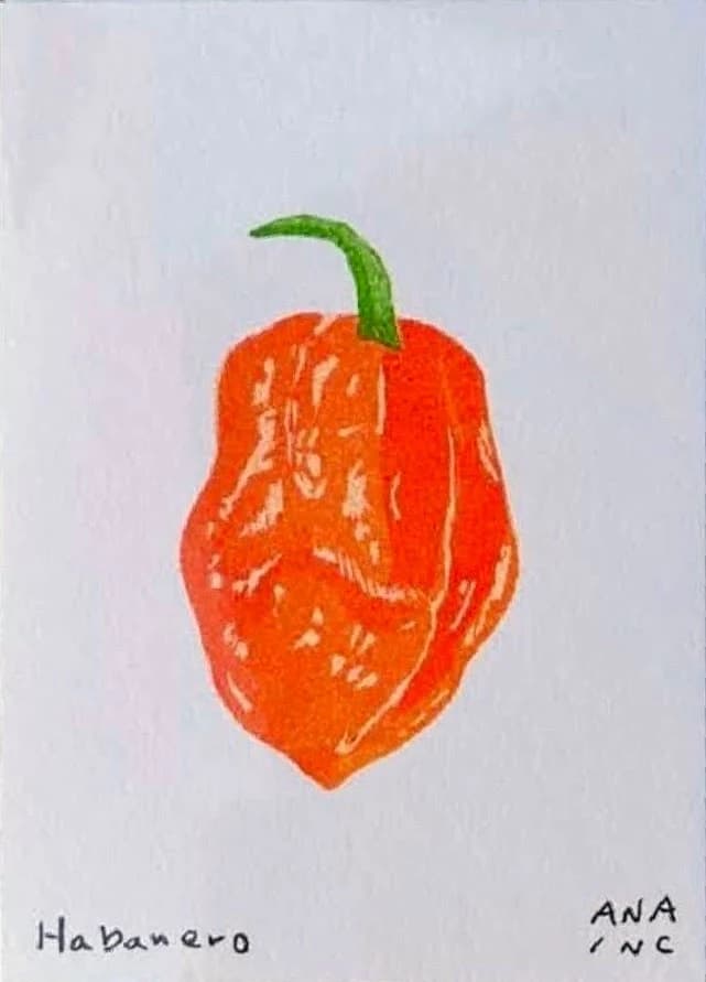 Habanero