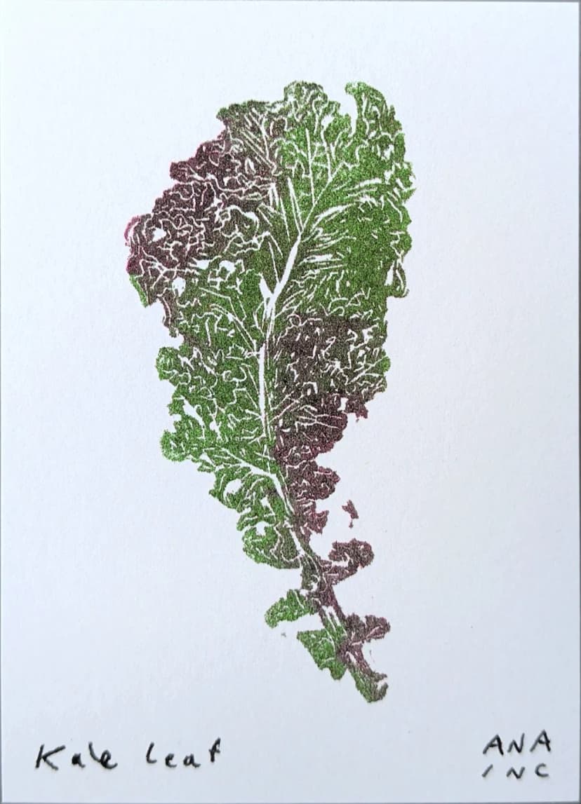 Kale Leaf