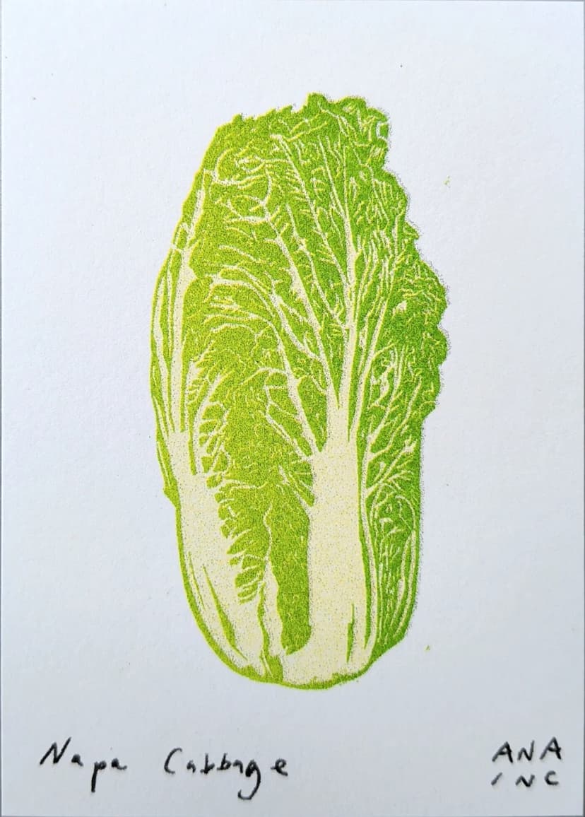 Napa Cabbage