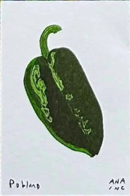 Poblano