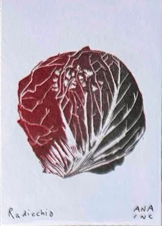 Radicchio