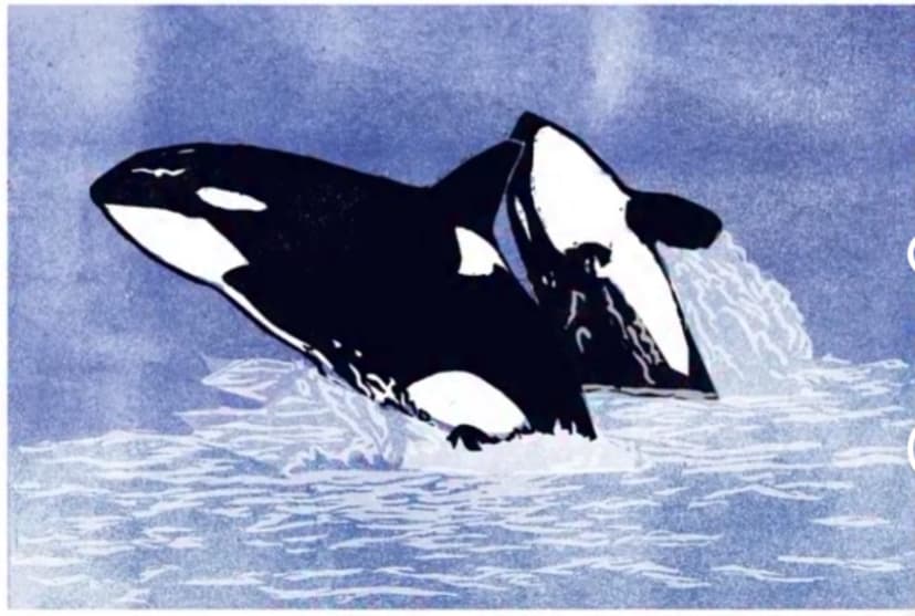 Southern Resident Orcas