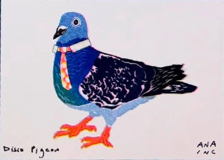 Disco Pigeon