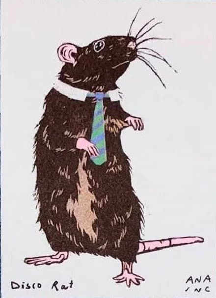 Disco Rat