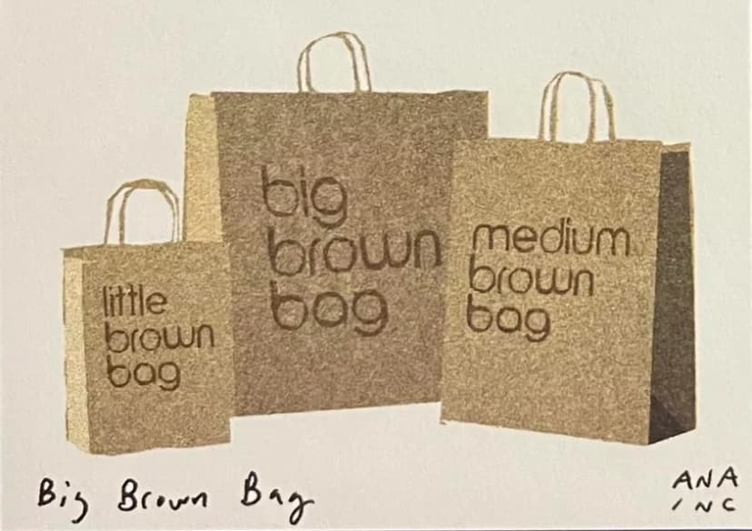 Big Brown Bag