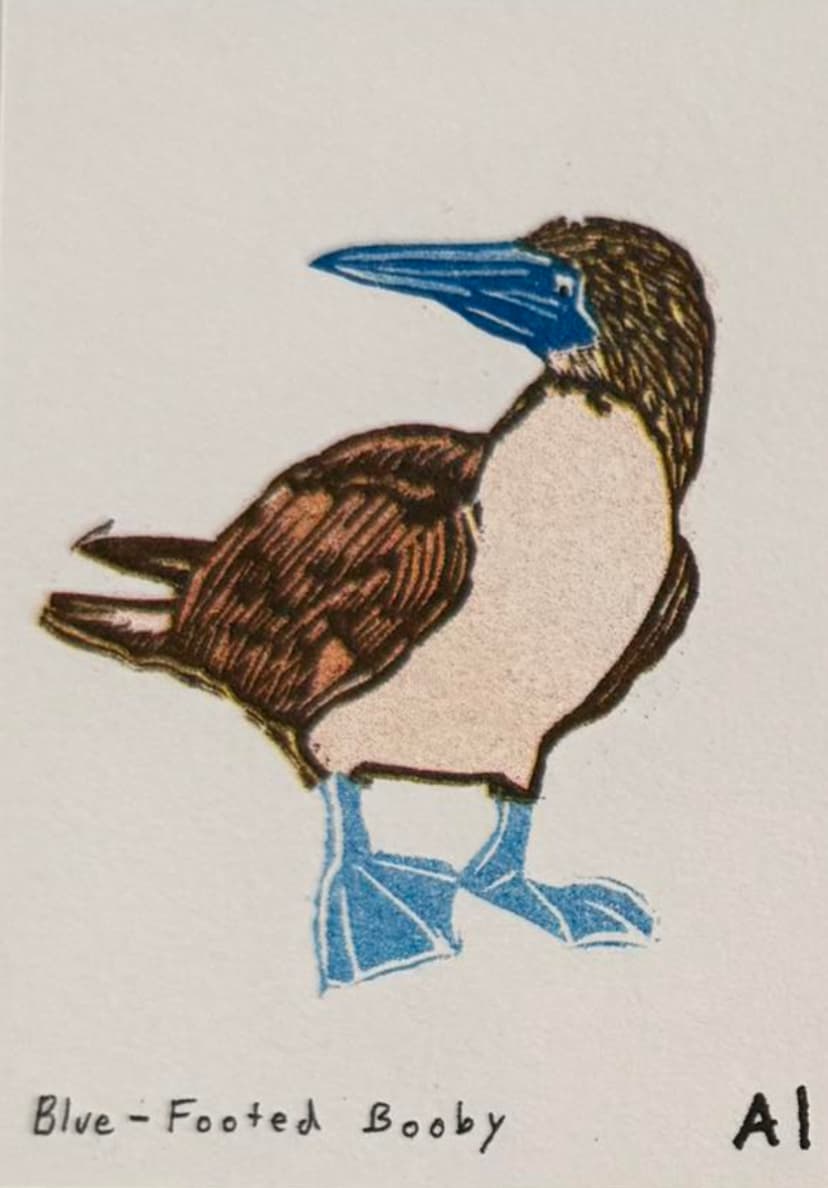 Blue-Footed Booby