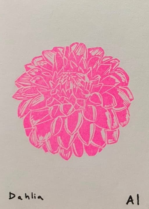 Dahlia