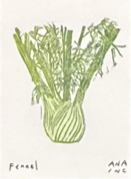 Fennel