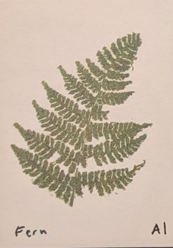 Fern