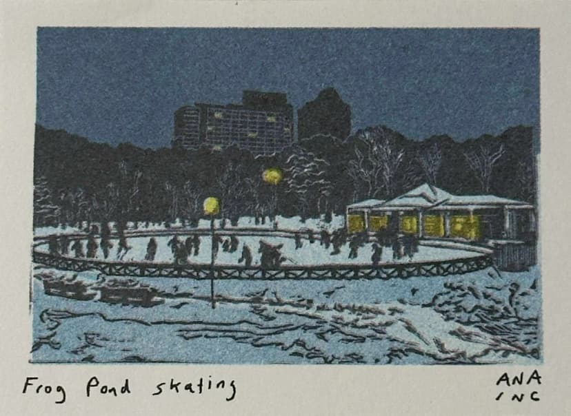Frog Pond Skating