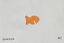 Goldfish