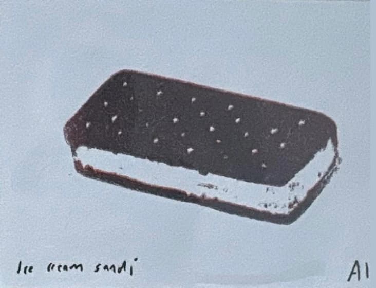 Ice Cream Sandi