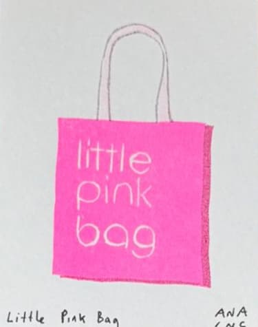Little Pink Bag