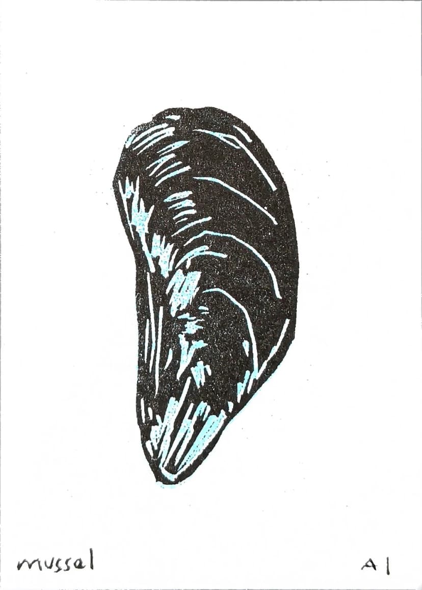 Mussel