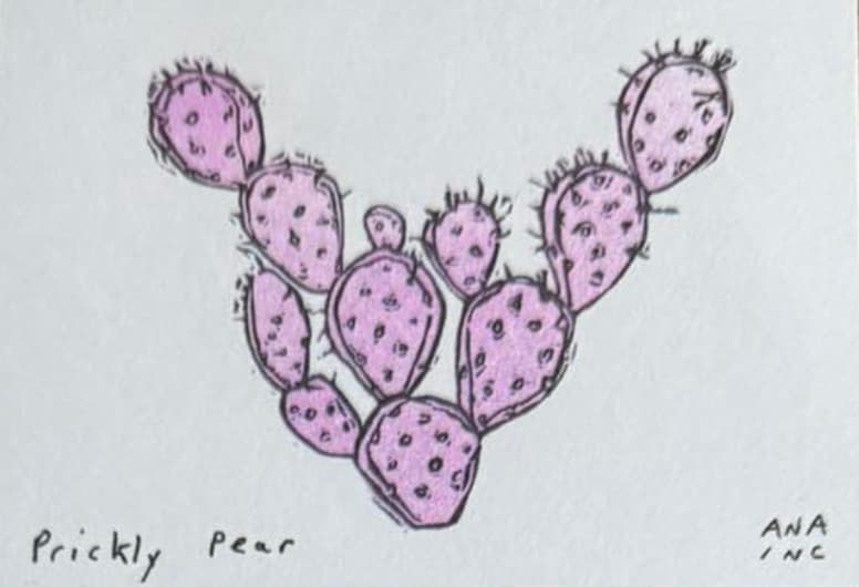 Prickly Pear