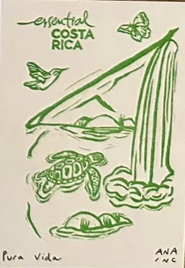 Pura Vida