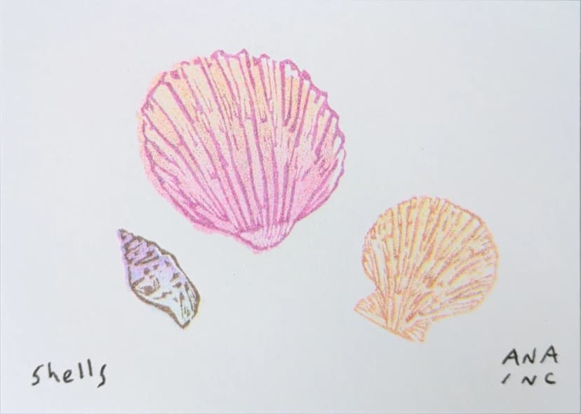 Shells
