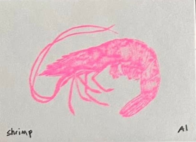 Shrimp