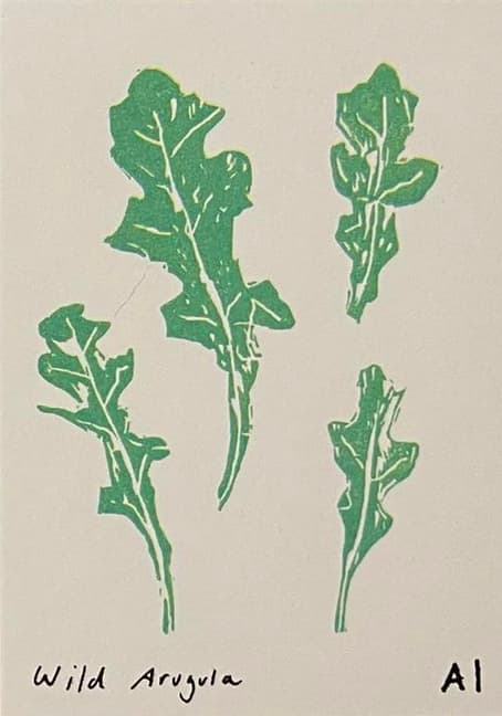 Wild Arugula
