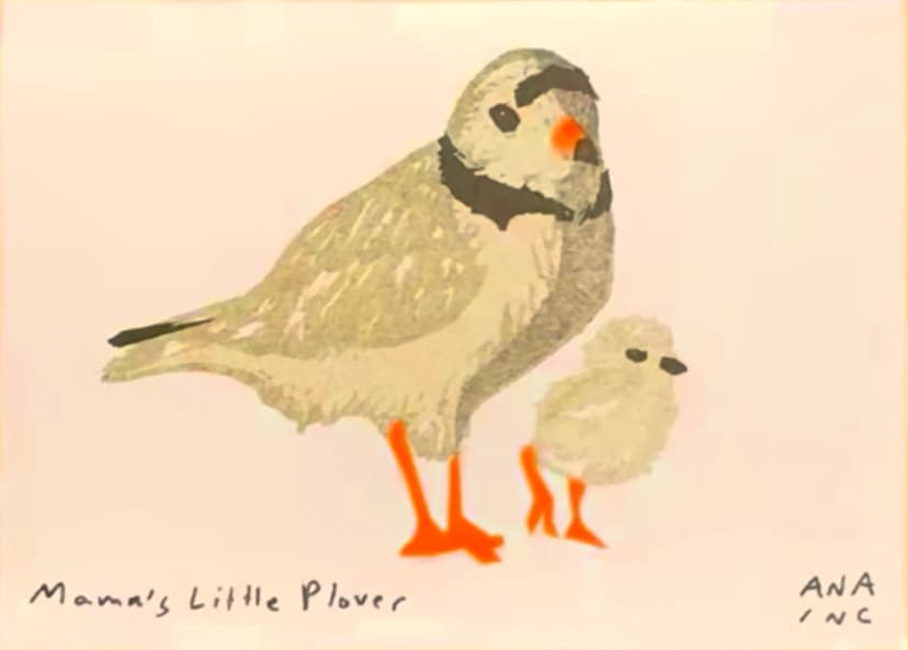 Mama's Little Plover