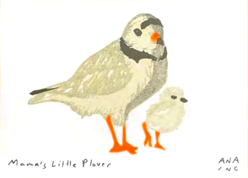 Mama's Little Plover