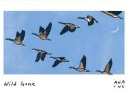 Wild Geese